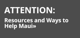 Resources and Ways to Help Maui